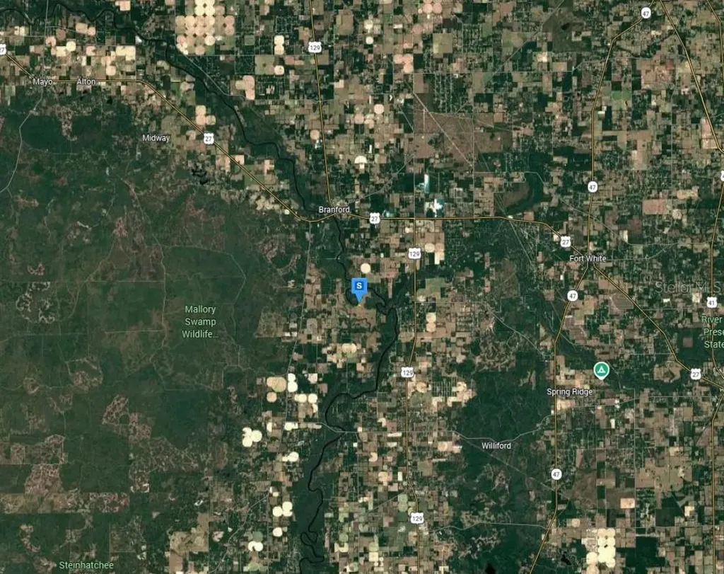 263 SE Riverside East Drive Branford FL 32008