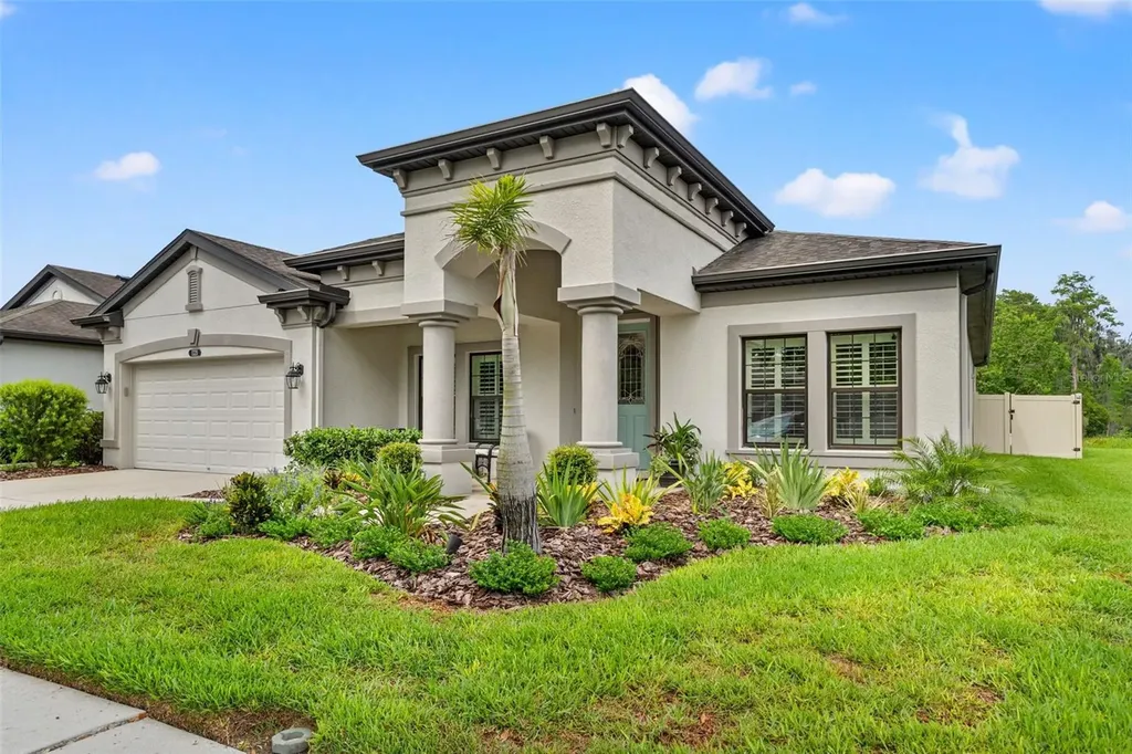 8320 Bluevine Sky Drive Land O Lakes FL 34637