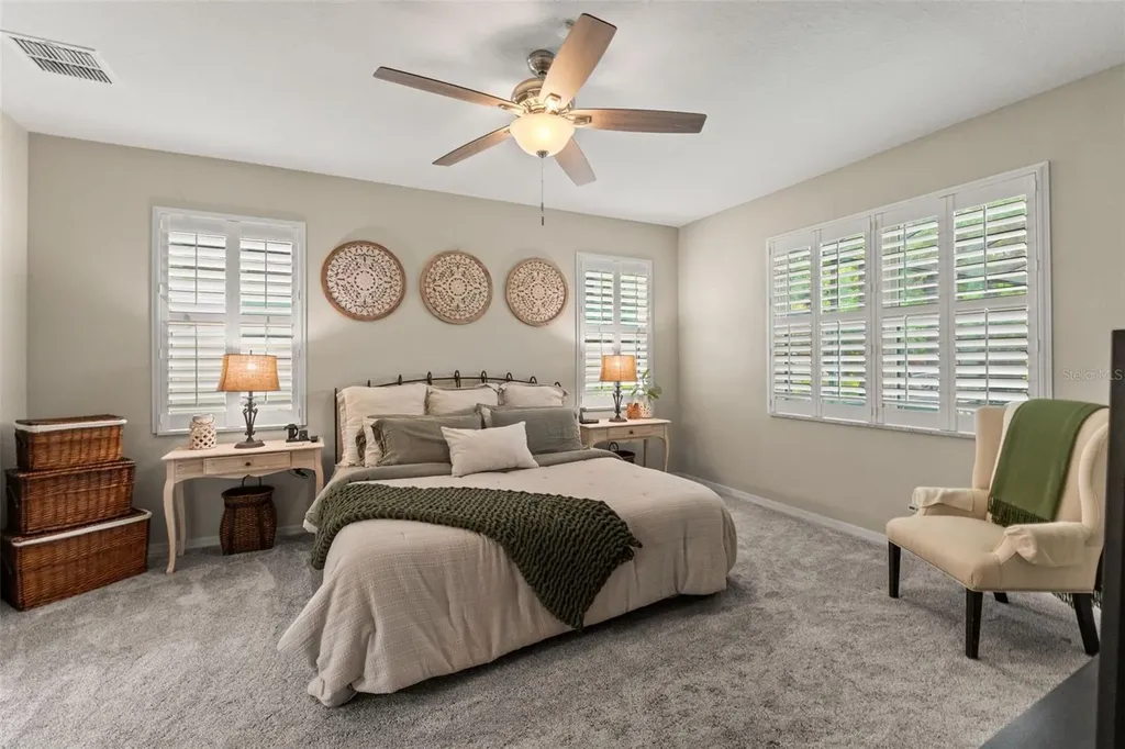 8320 Bluevine Sky Drive Land O Lakes FL 34637