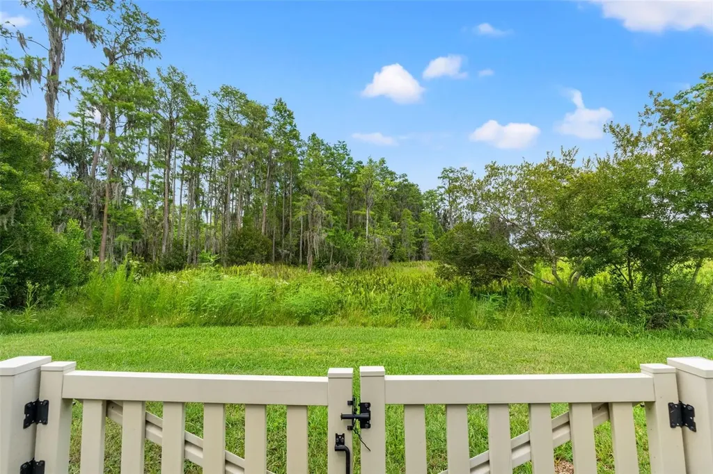 8320 Bluevine Sky Drive Land O Lakes FL 34637