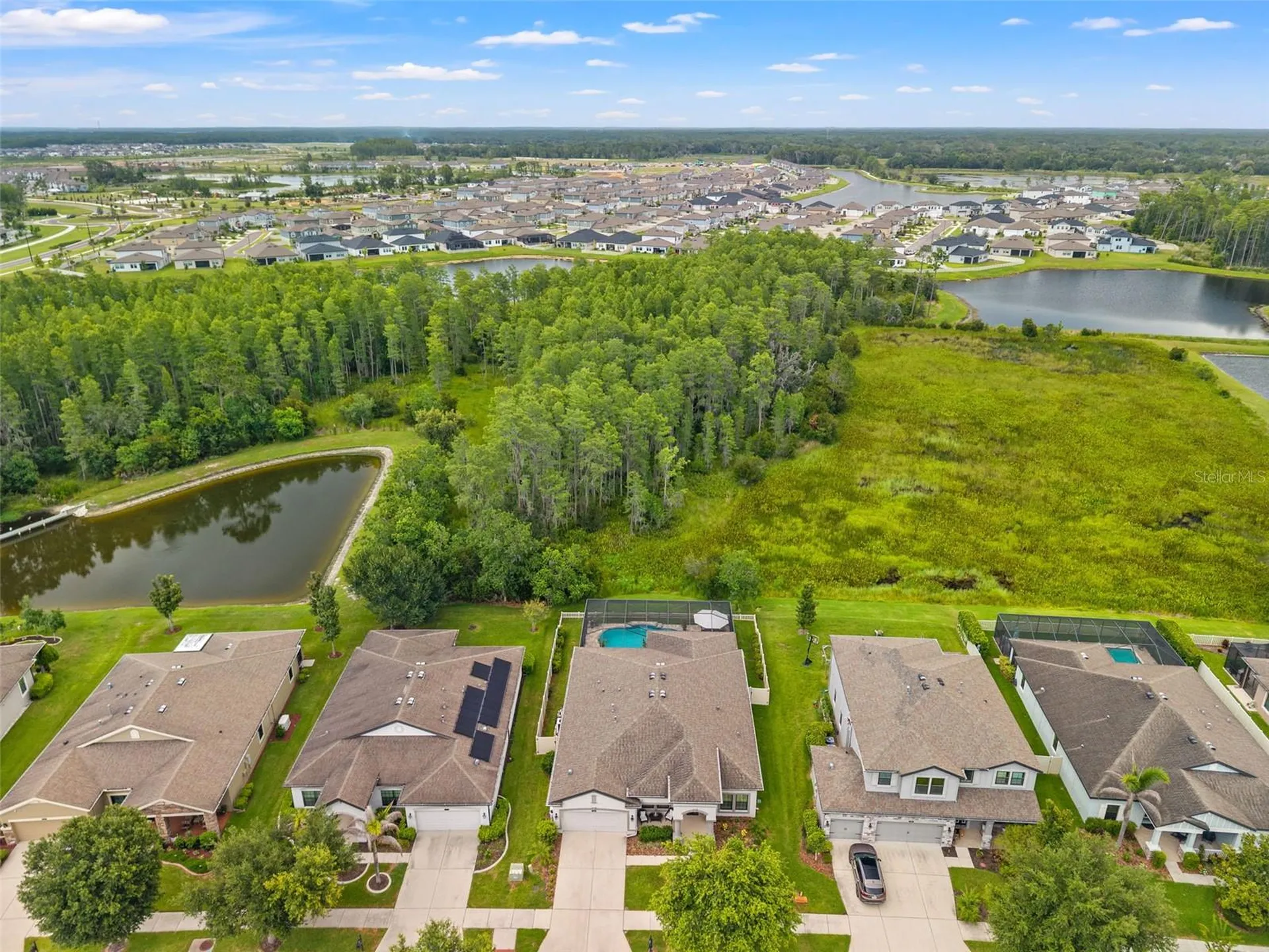 8320 Bluevine Sky Drive Land O Lakes FL 34637