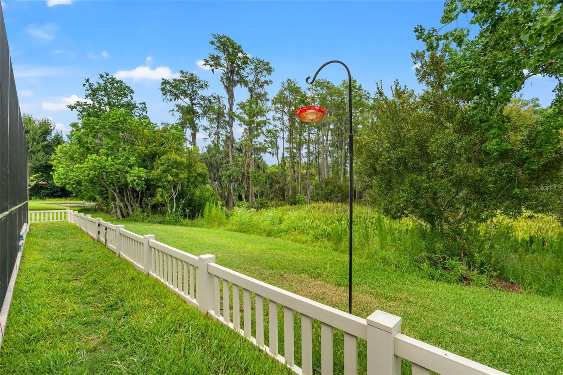 8320 Bluevine Sky Drive Land O Lakes FL 34637