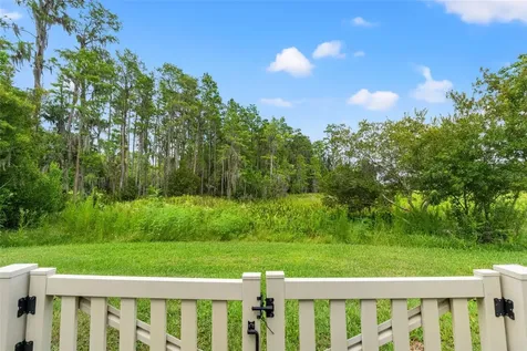 8320 Bluevine Sky Drive Land O Lakes FL 34637