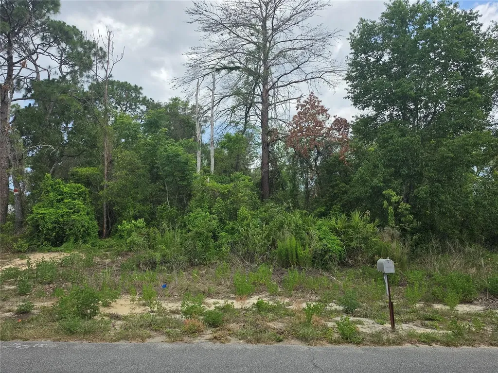 3475 El Prado Avenue Spring Hill FL 34609