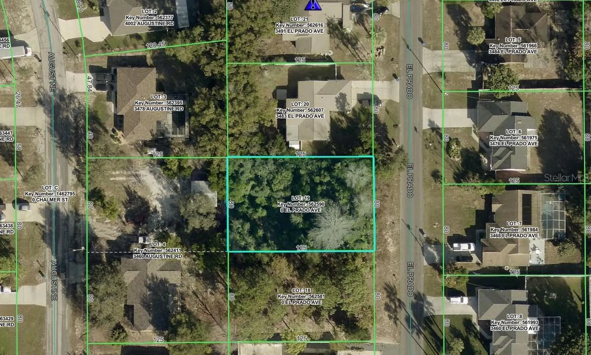 3475 El Prado Avenue Spring Hill FL 34609
