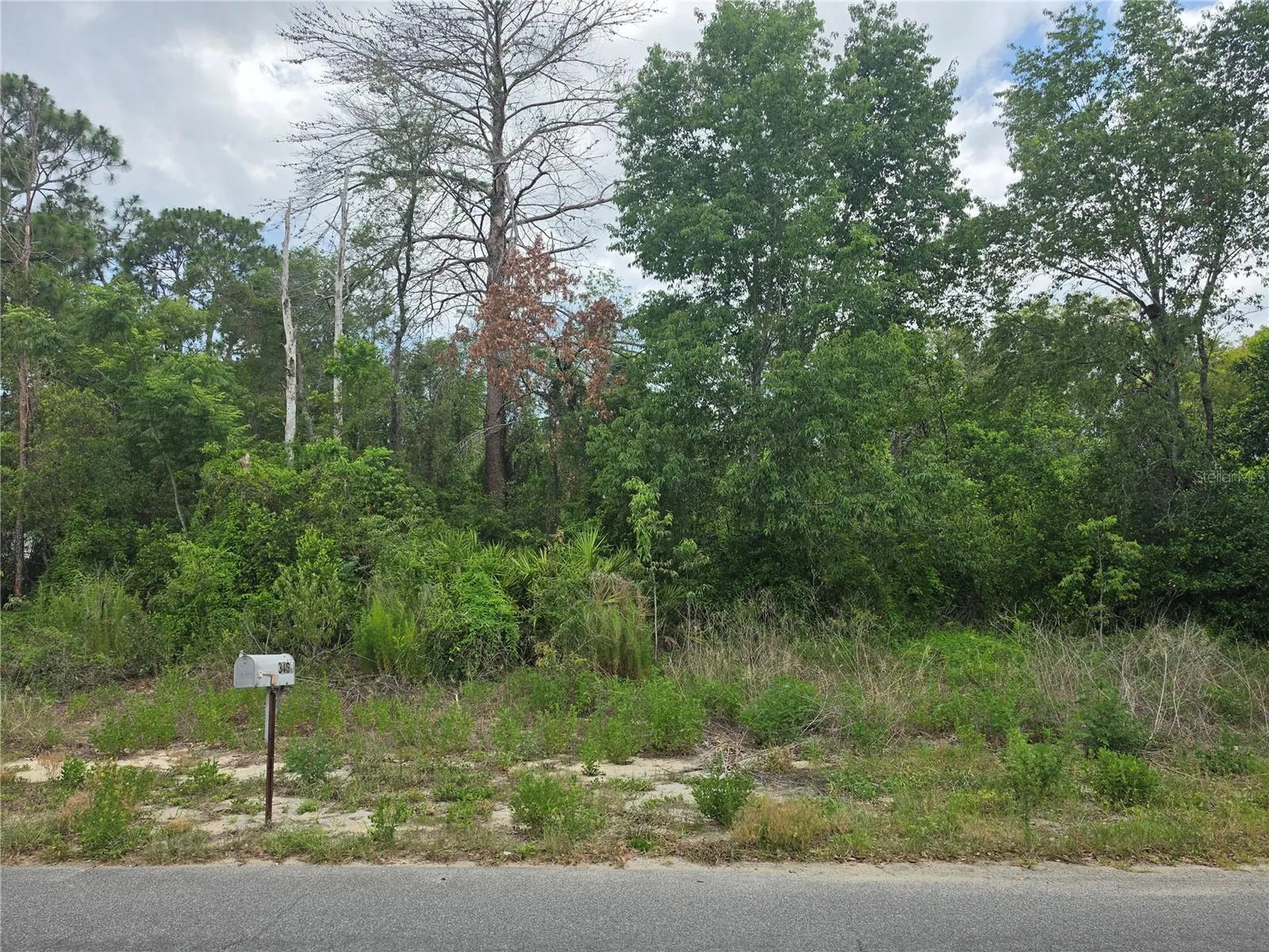 3475 El Prado Avenue Spring Hill FL 34609