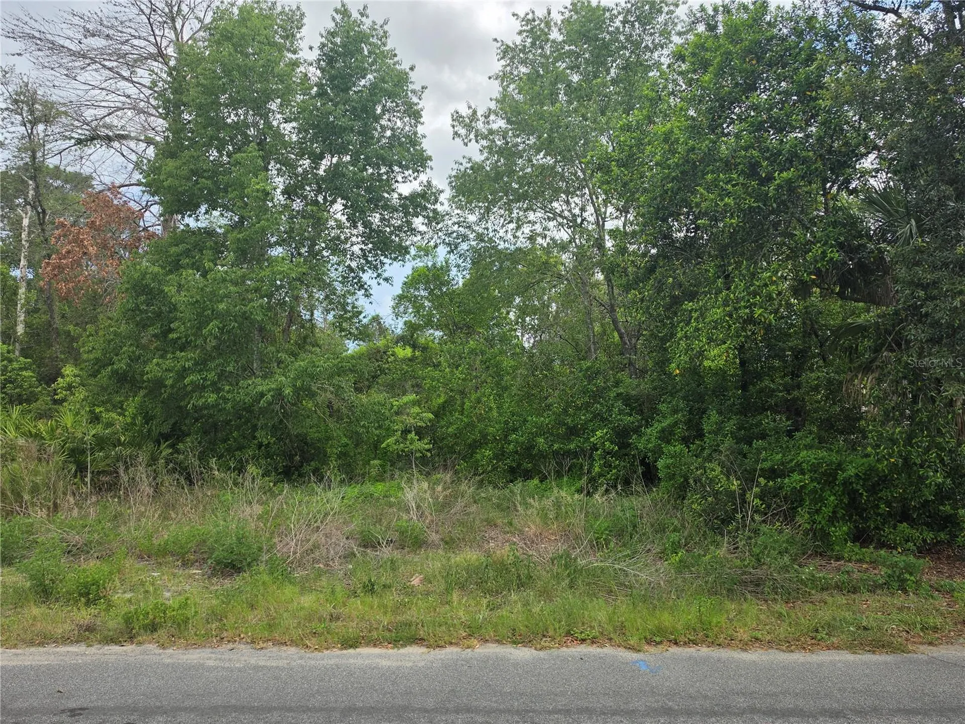 3475 El Prado Avenue Spring Hill FL 34609
