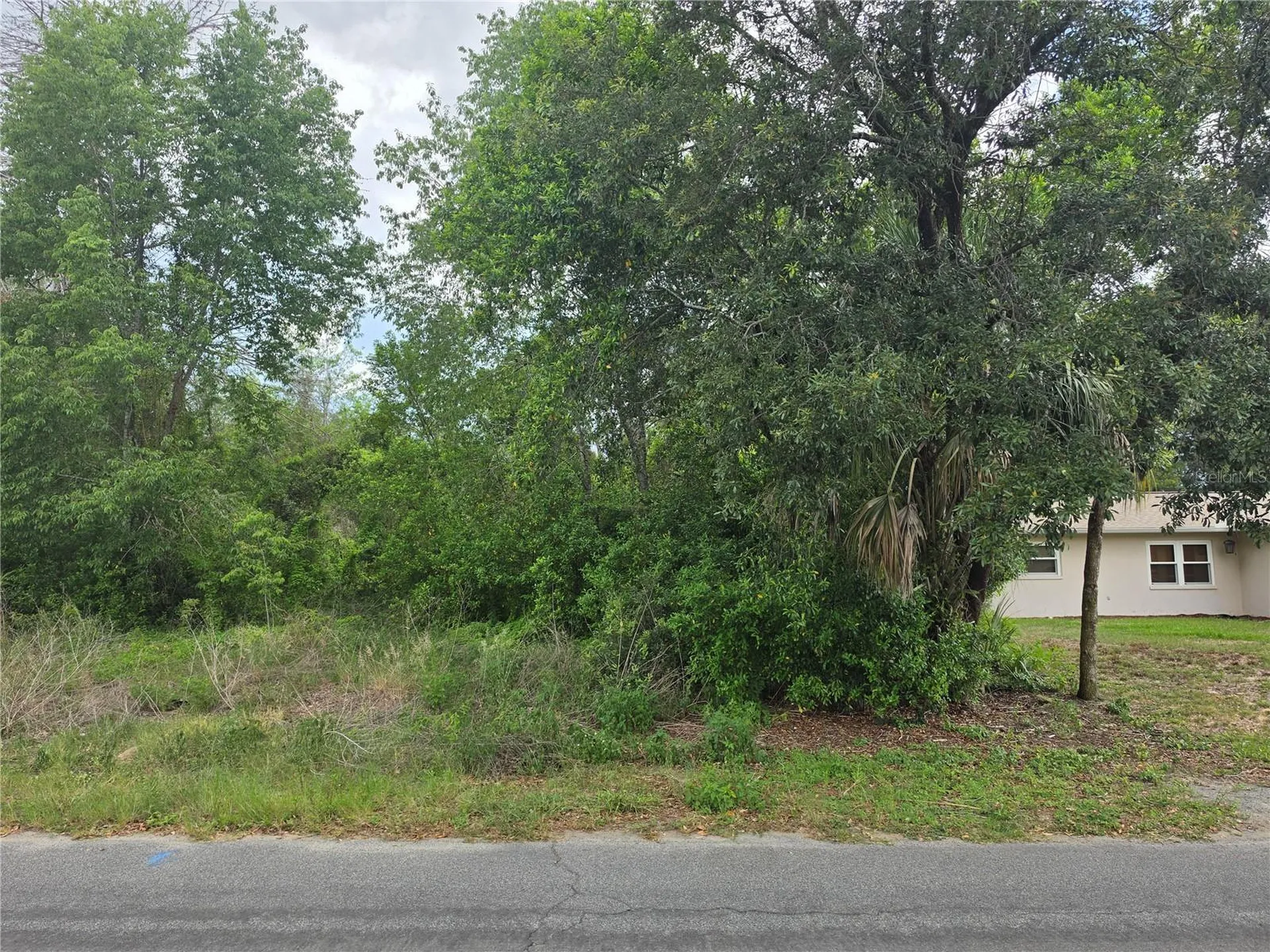 3475 El Prado Avenue Spring Hill FL 34609