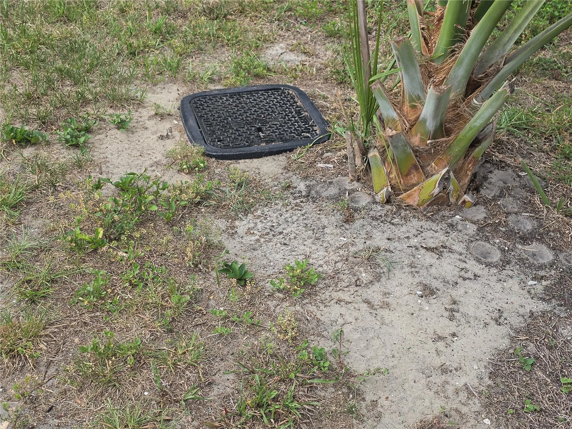 3475 El Prado Avenue Spring Hill FL 34609