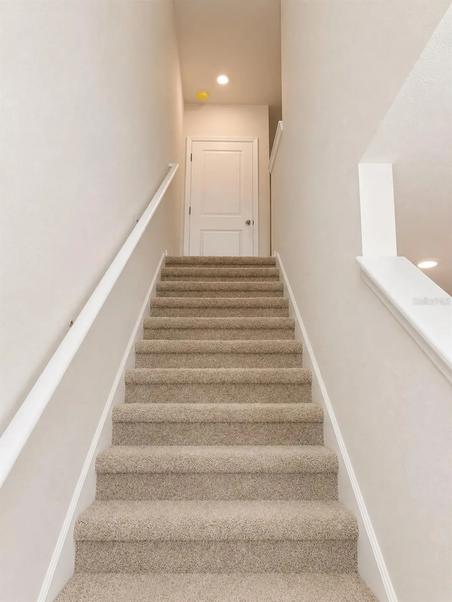 4591 Stargazer Court Palm Harbor FL 34683