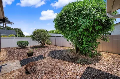 4212 Gray Squirrel Lane New Port Richey FL 34653