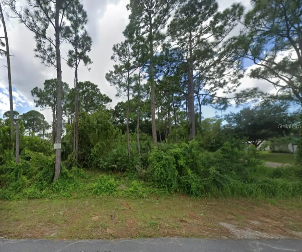 San Salvador Avenue SE Palm Bay FL 32909