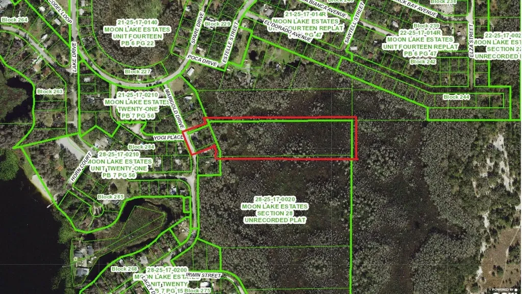 8944 Marigold Drive New Port Richey FL 34654