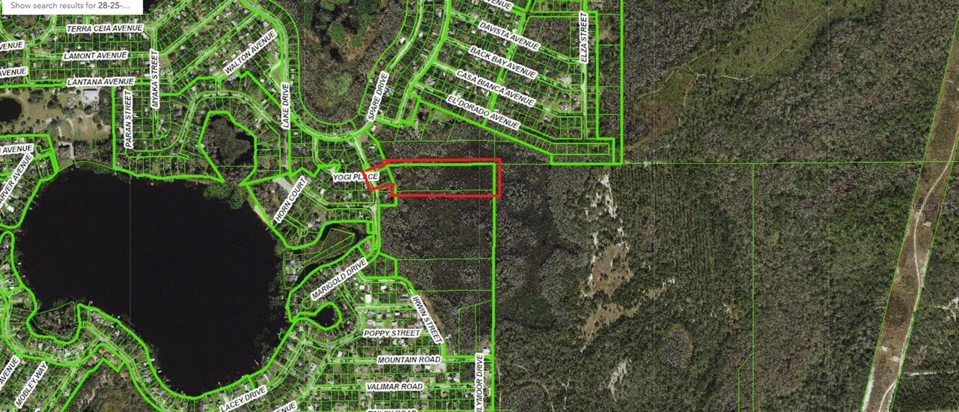 8944 Marigold Drive New Port Richey FL 34654