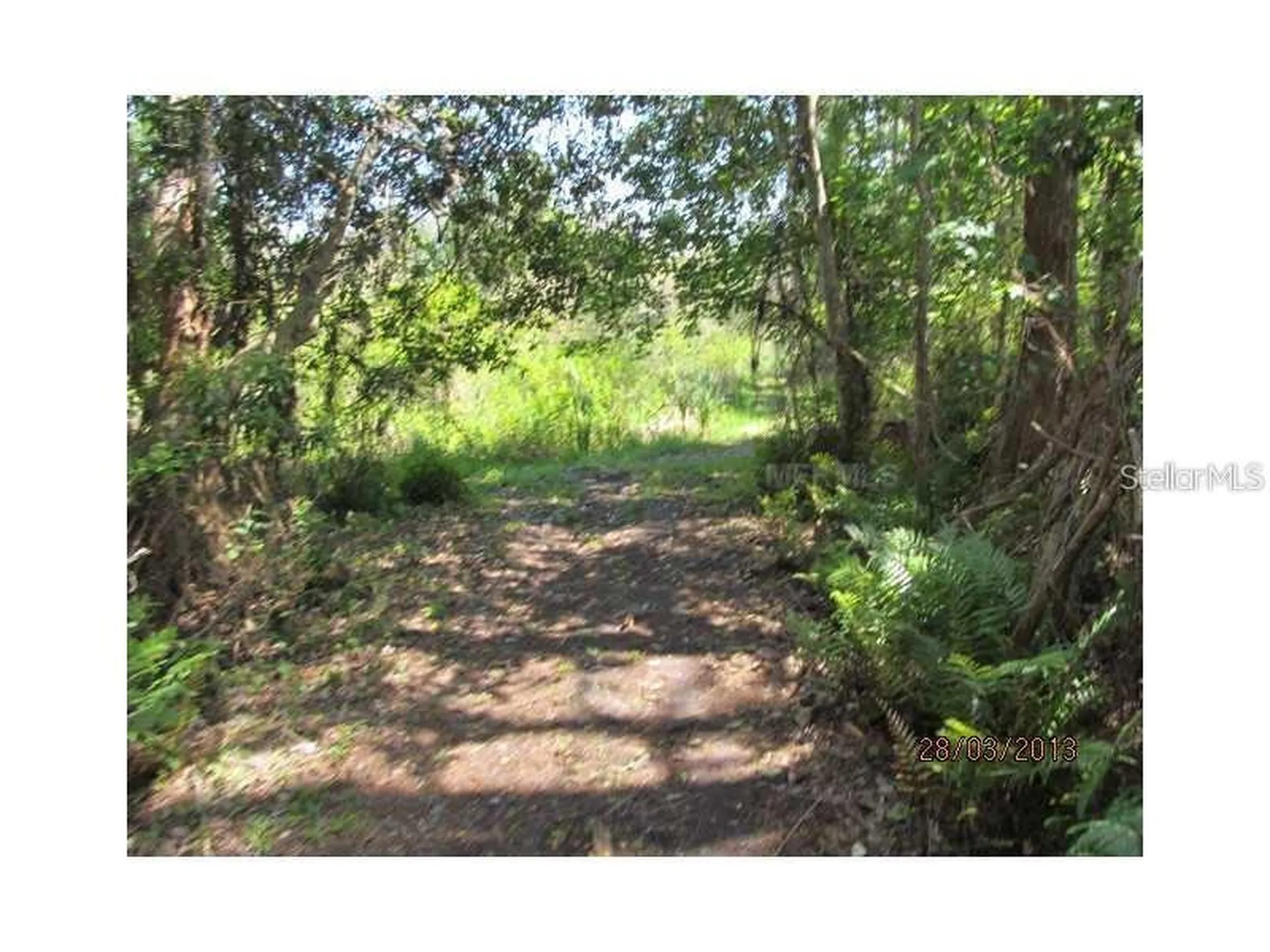 8944 Marigold Drive New Port Richey FL 34654