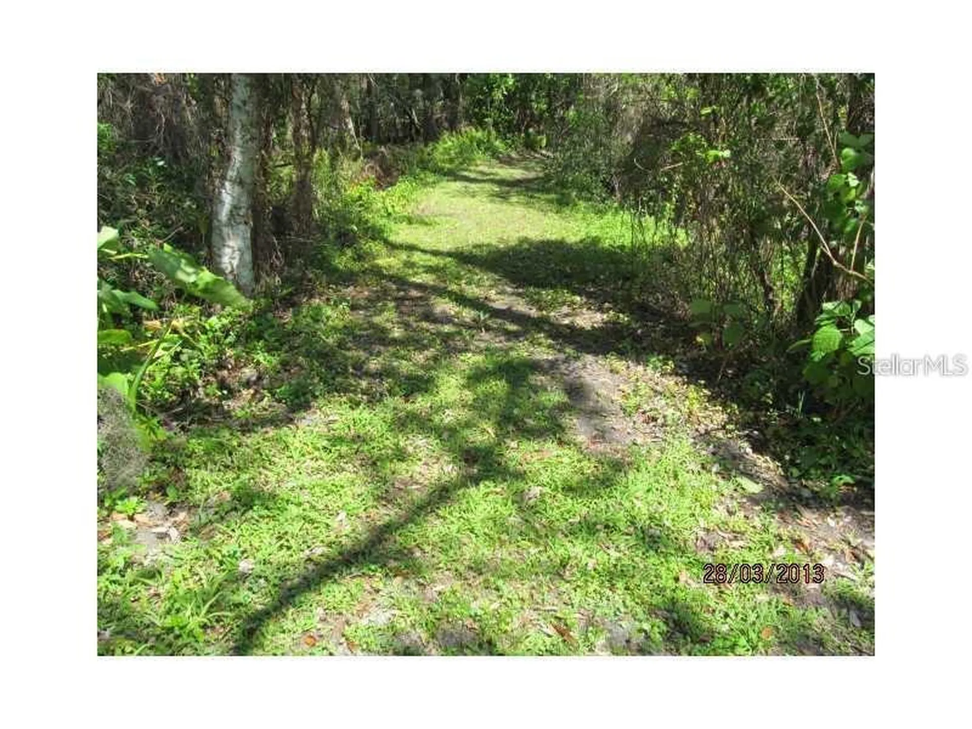 8944 Marigold Drive New Port Richey FL 34654