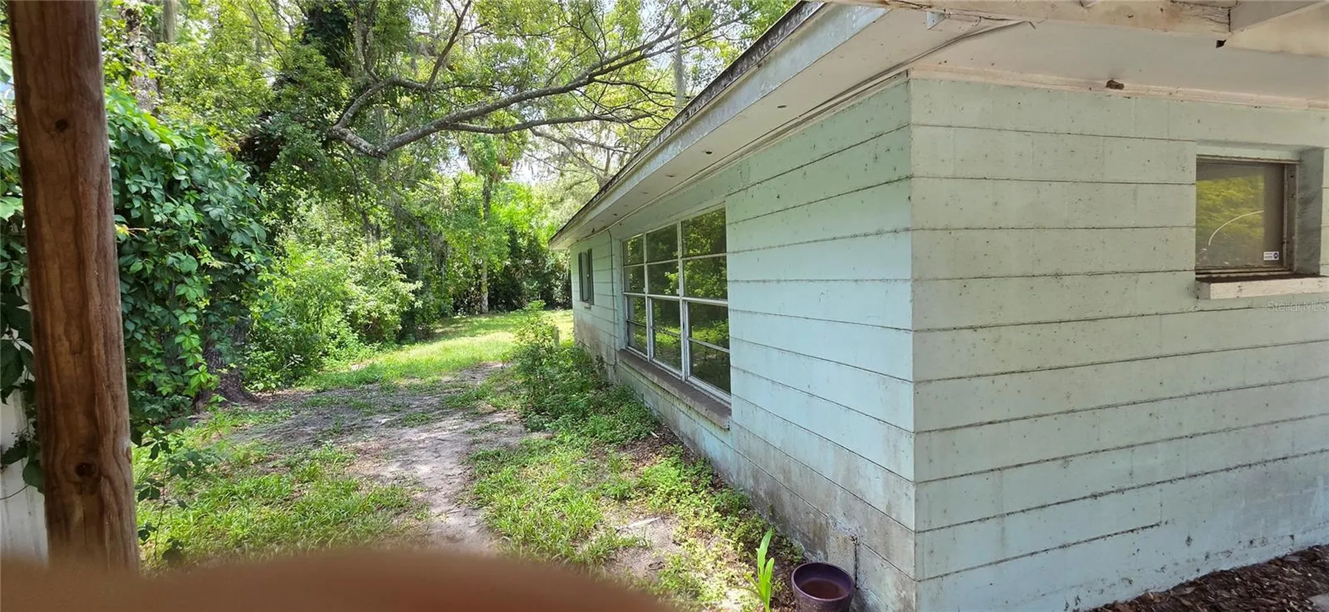 8944 Marigold Drive New Port Richey FL 34654