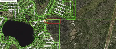 8944 Marigold Drive New Port Richey FL 34654