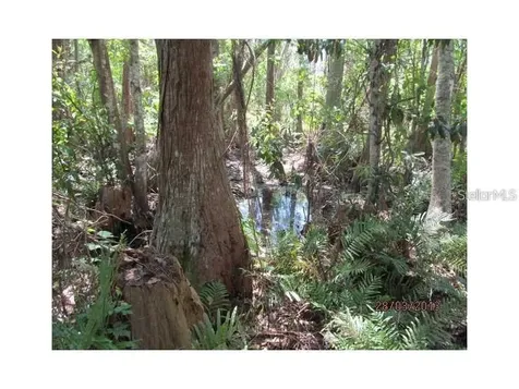 8944 Marigold Drive New Port Richey FL 34654