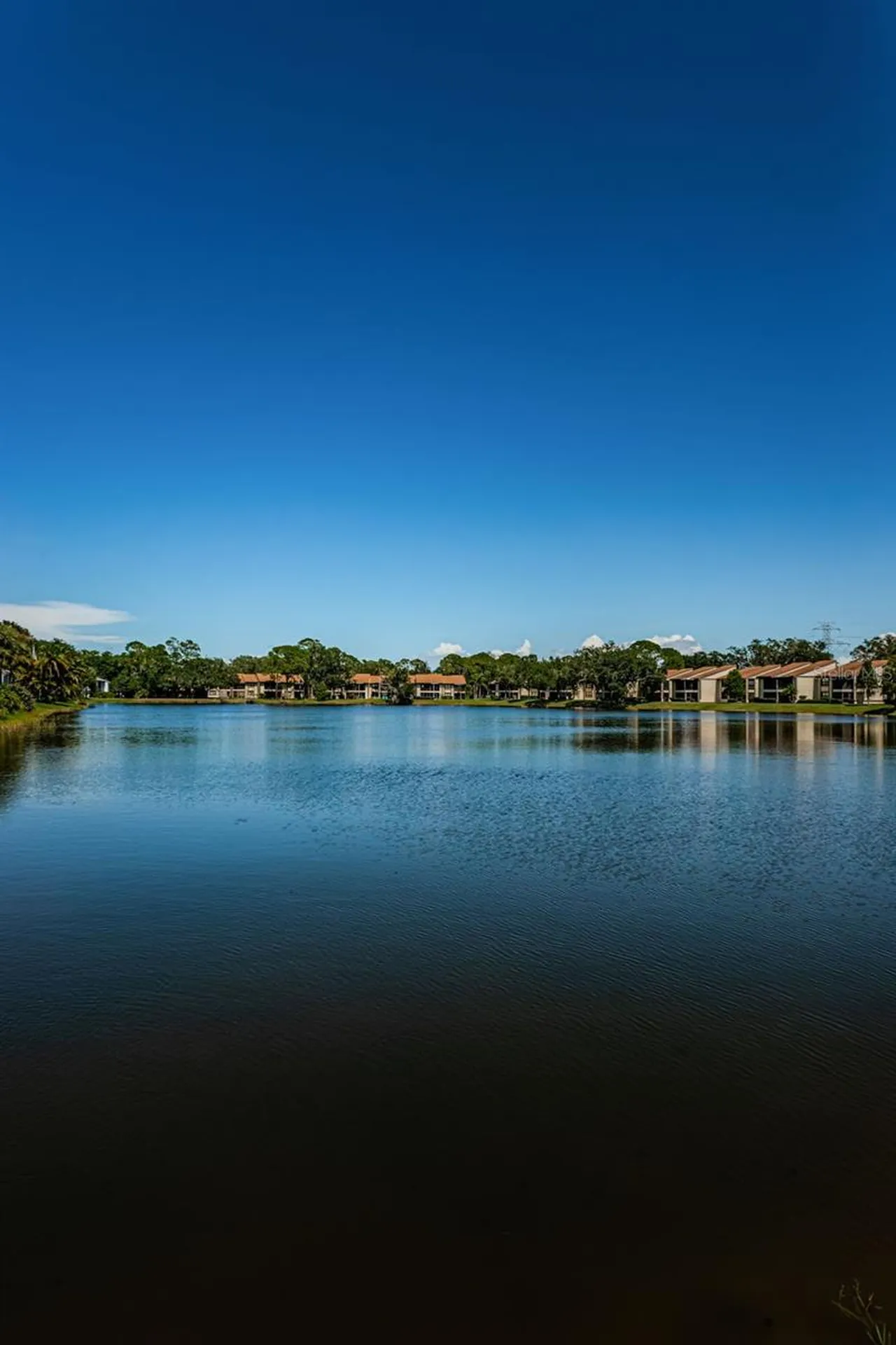124 Woodlake Wynde Oldsmar FL 34677