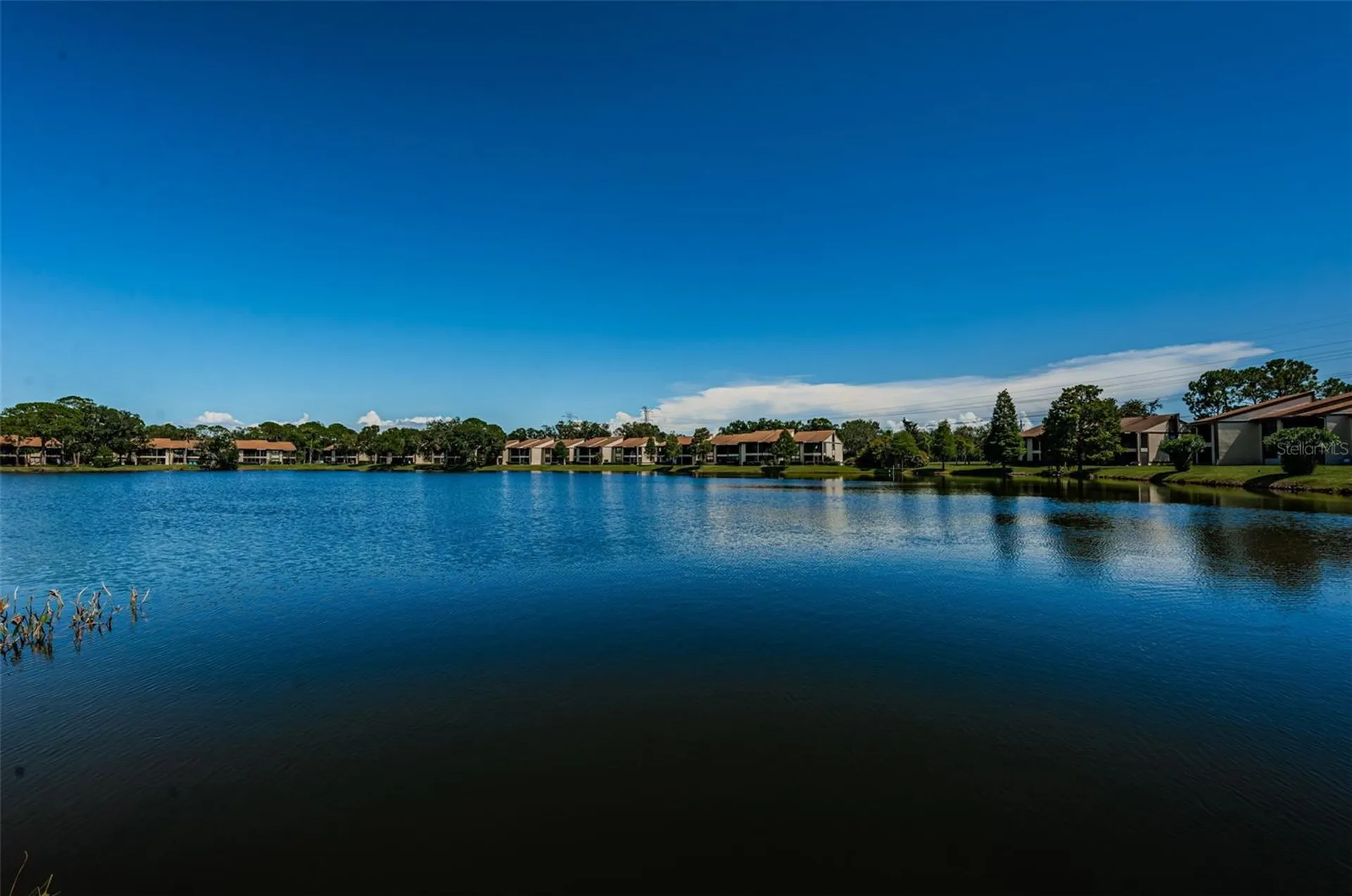 124 Woodlake Wynde Oldsmar FL 34677