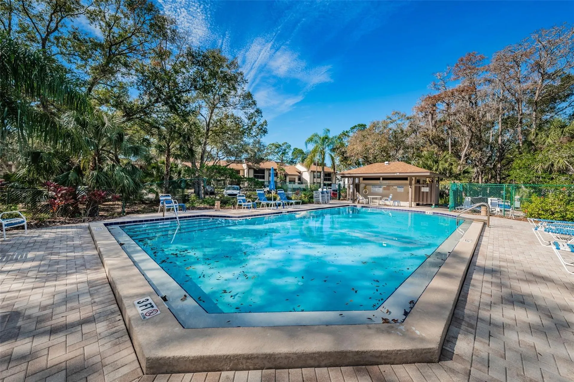 124 Woodlake Wynde Oldsmar FL 34677
