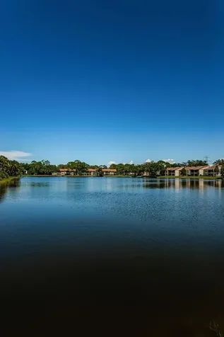 124 Woodlake Wynde Oldsmar FL 34677