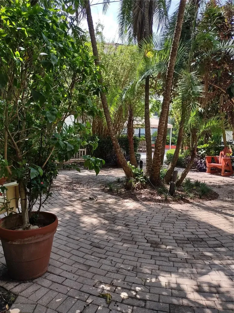 520 Armenia Avenue S Tampa FL 33609