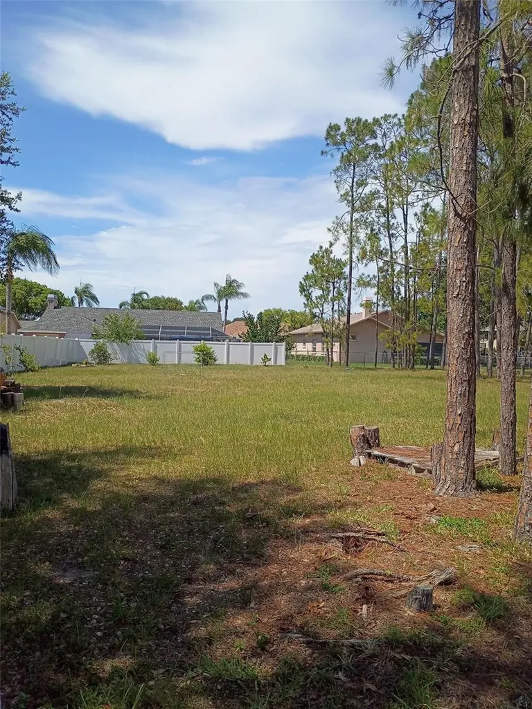 5142 La Plata Drive New Port Richey FL 34655