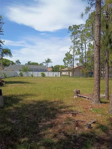 5142 La Plata Drive New Port Richey FL 34655