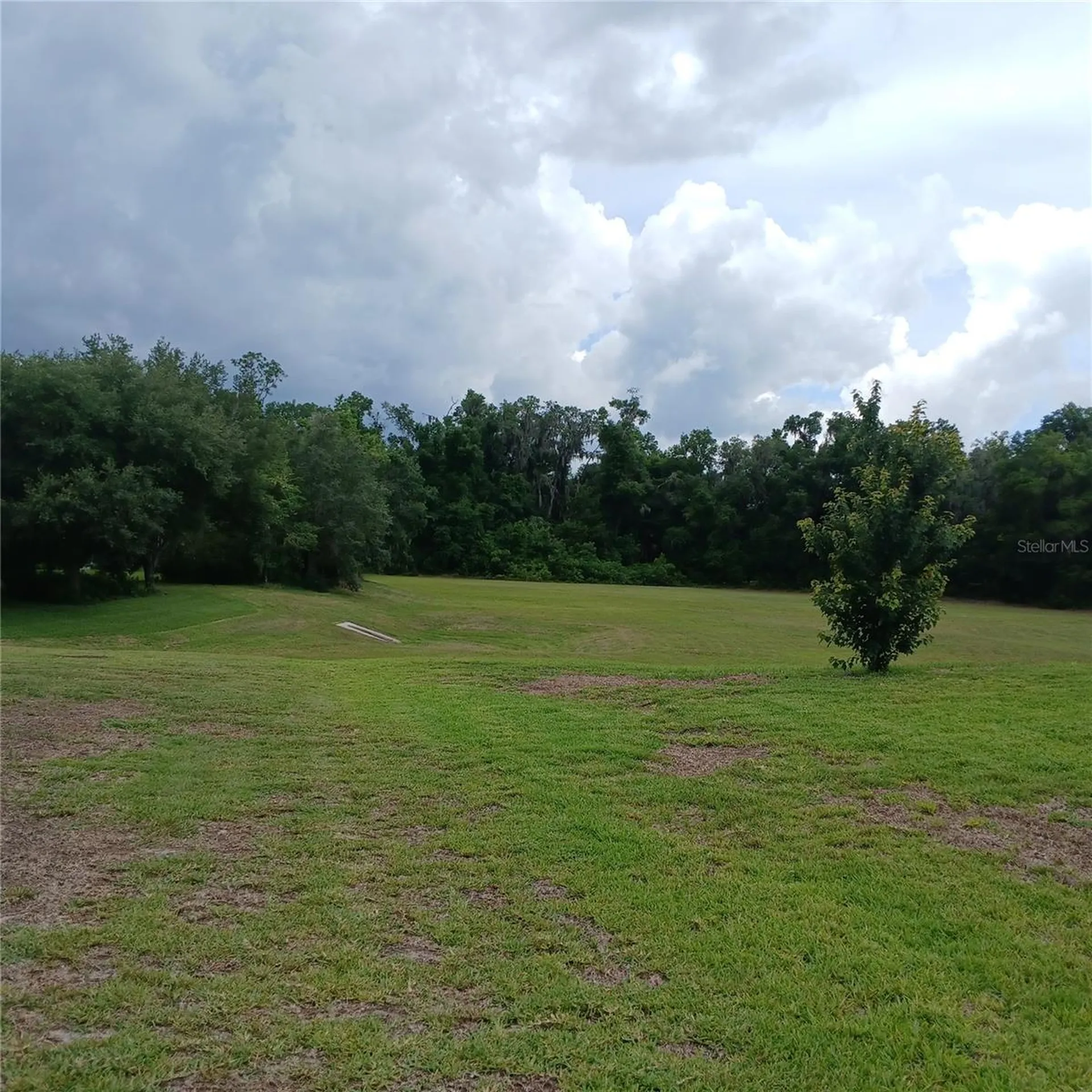 19720 SW 79th Place Dunnellon FL 34432