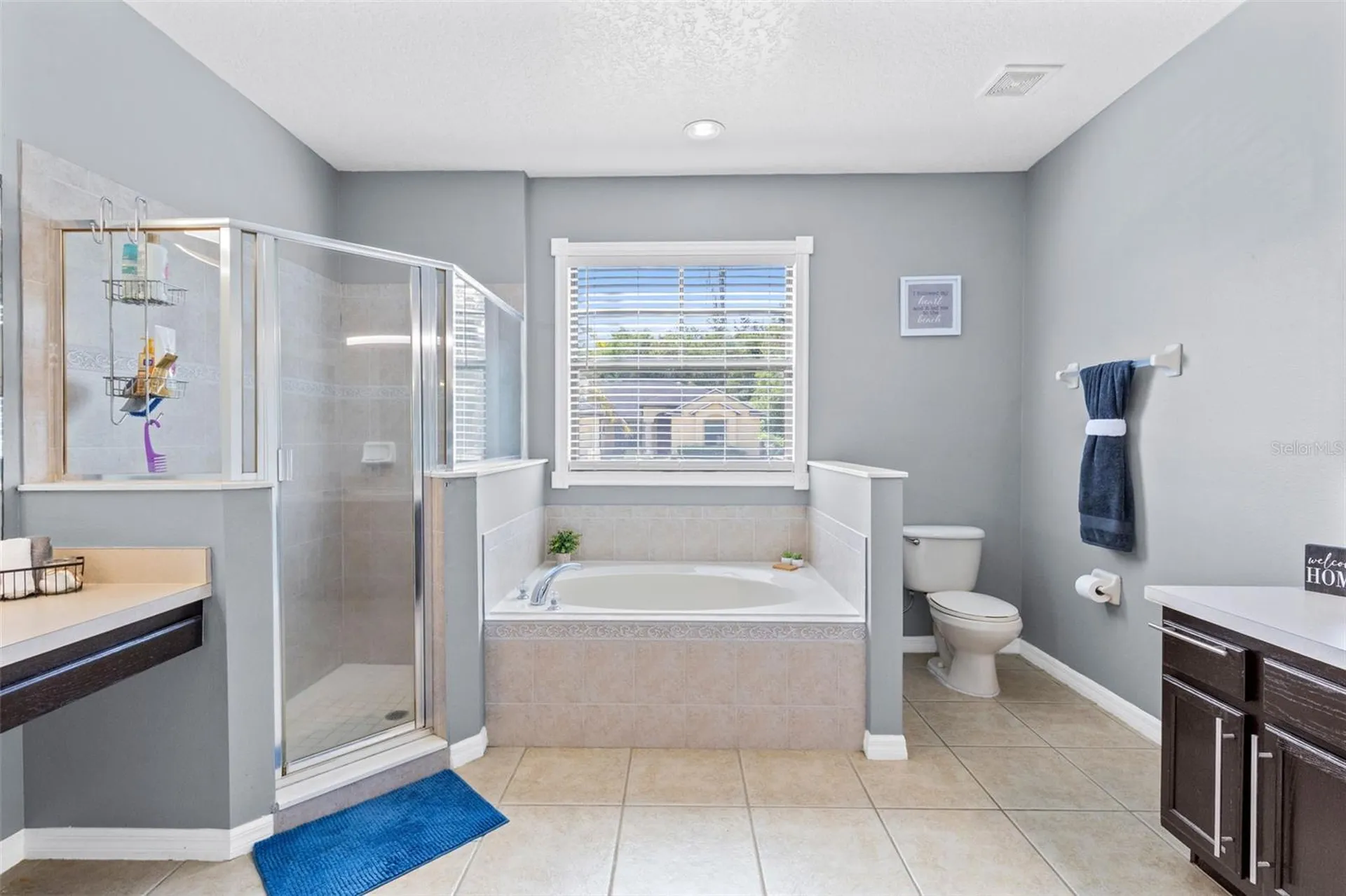 19160 Timber Pine Lane Orlando FL 32833