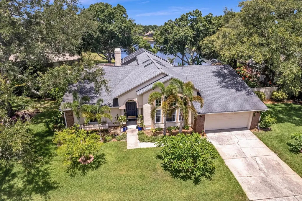8412 Ridgebrook Circle Odessa FL 33556