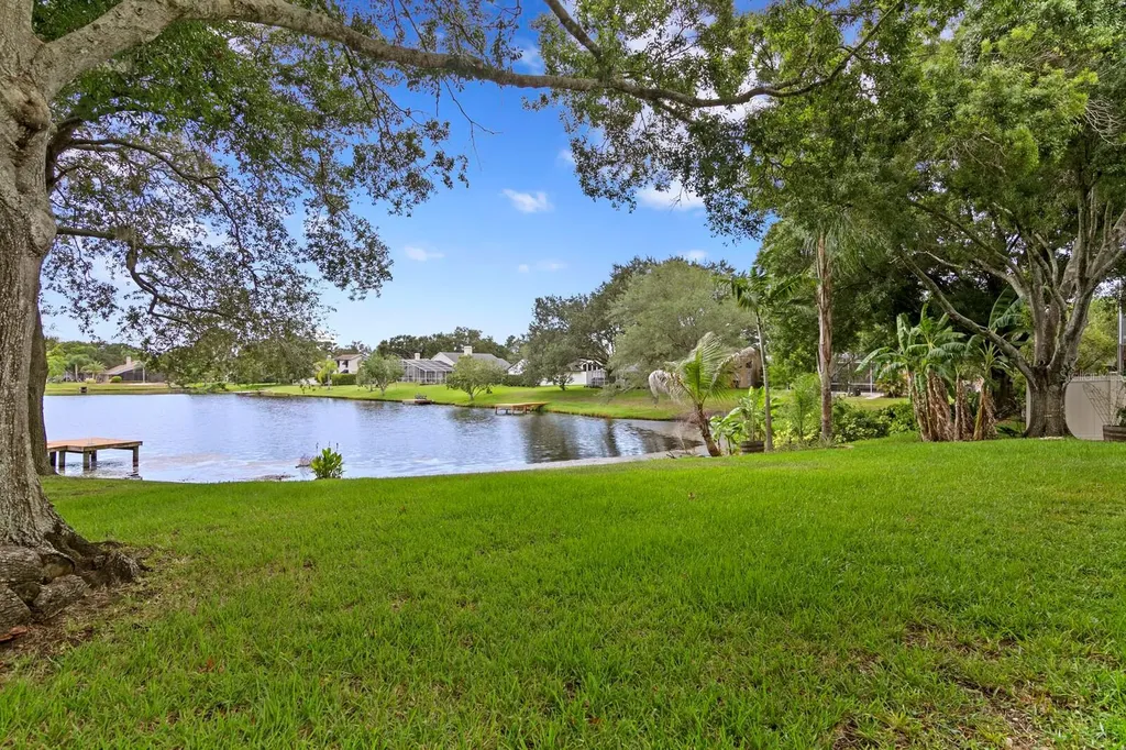 8412 Ridgebrook Circle Odessa FL 33556
