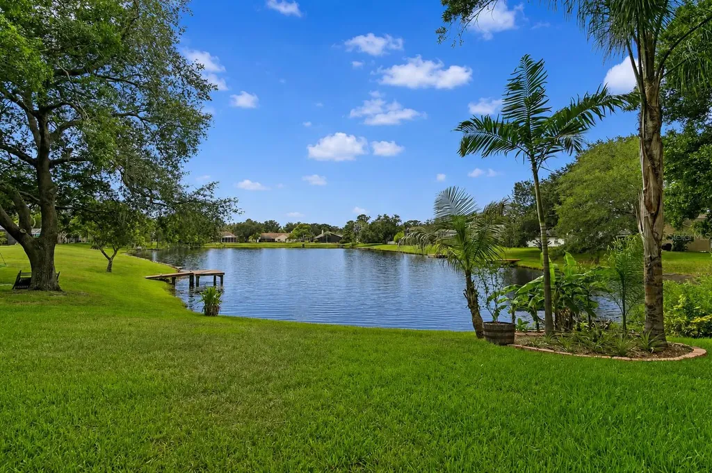 8412 Ridgebrook Circle Odessa FL 33556