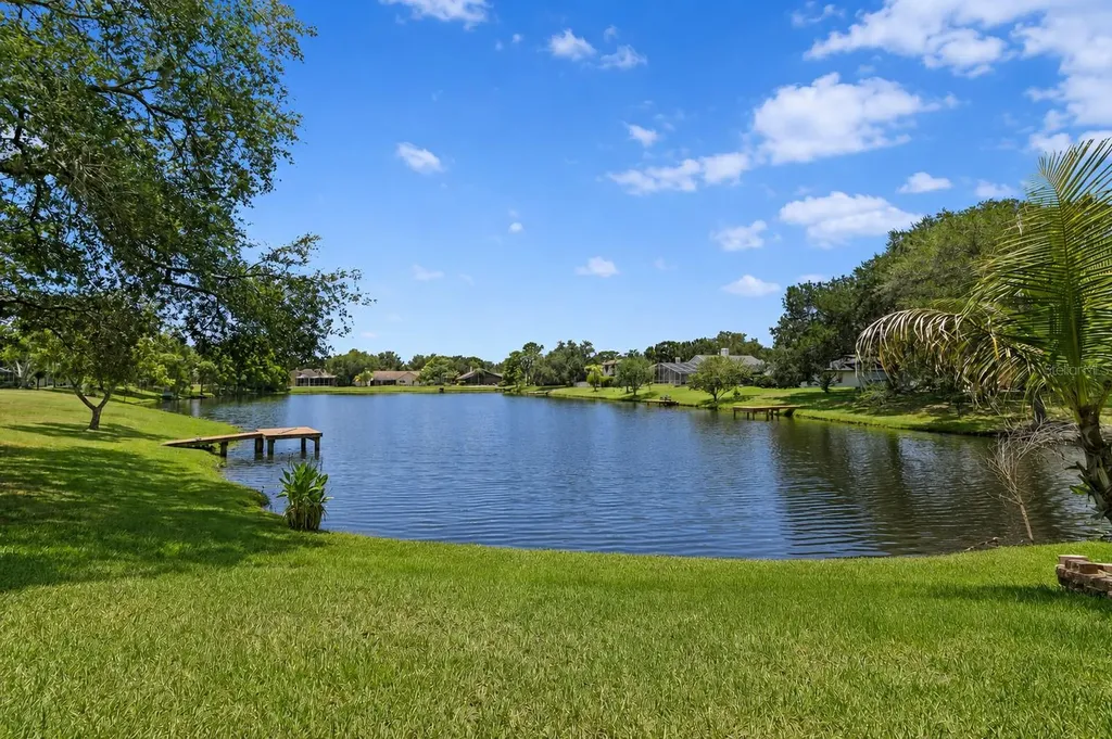 8412 Ridgebrook Circle Odessa FL 33556