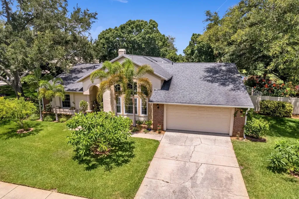 8412 Ridgebrook Circle Odessa FL 33556