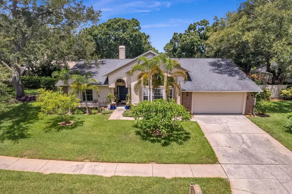 8412 Ridgebrook Circle Odessa FL 33556