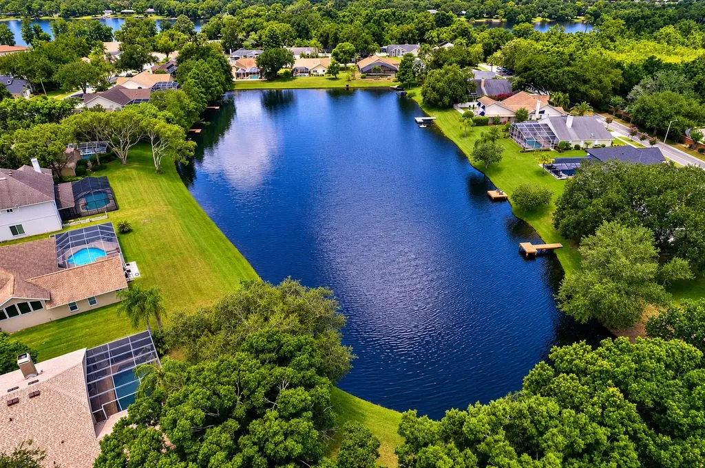 8412 Ridgebrook Circle Odessa FL 33556