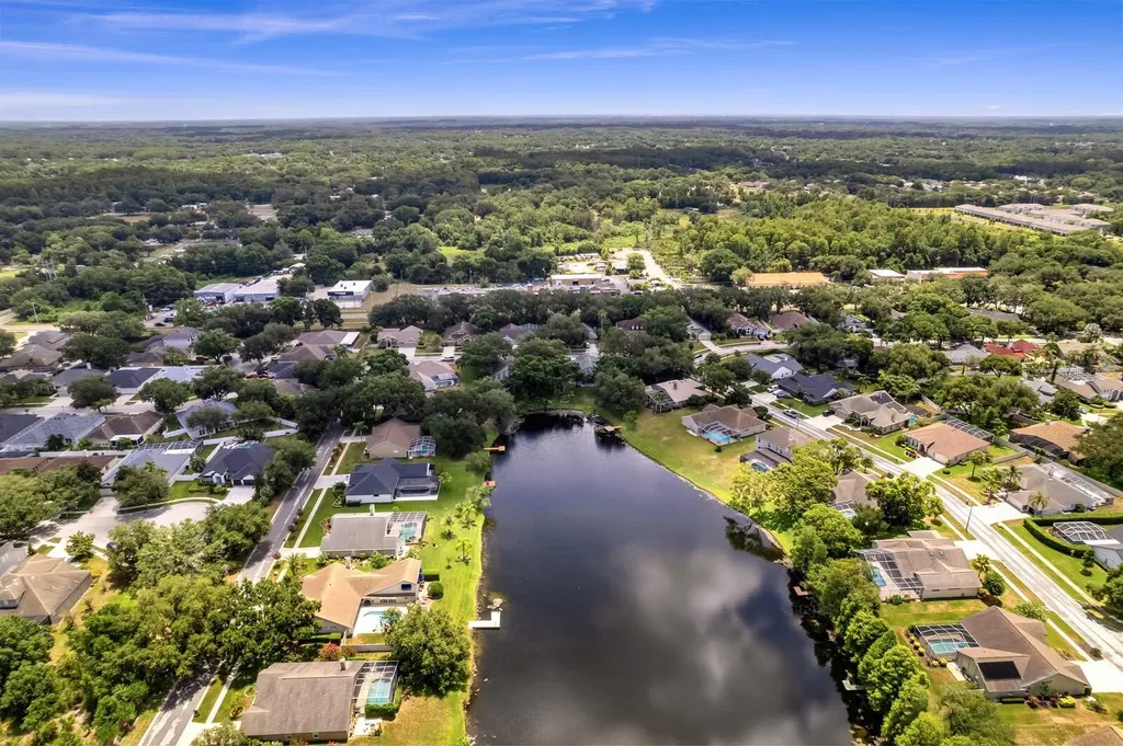 8412 Ridgebrook Circle Odessa FL 33556