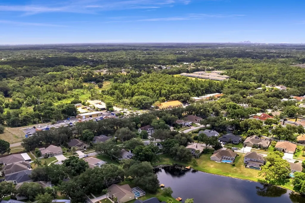 8412 Ridgebrook Circle Odessa FL 33556