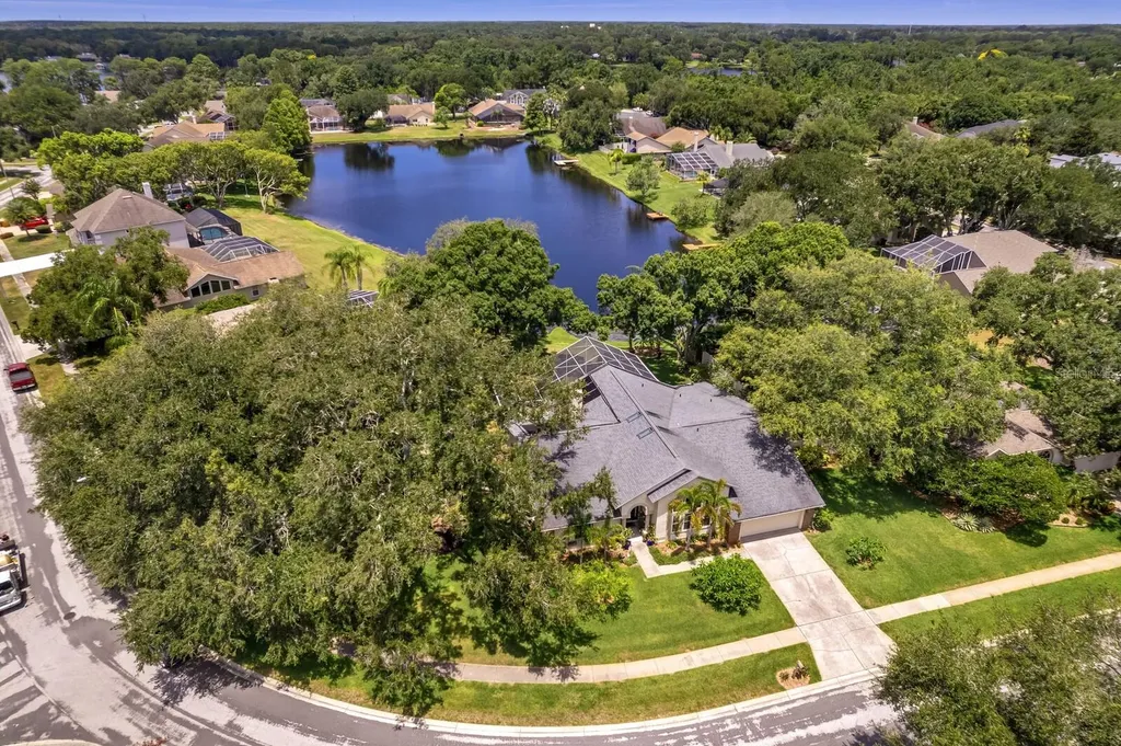 8412 Ridgebrook Circle Odessa FL 33556