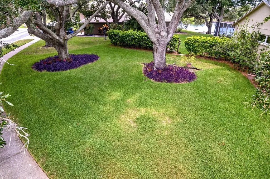 8412 Ridgebrook Circle Odessa FL 33556