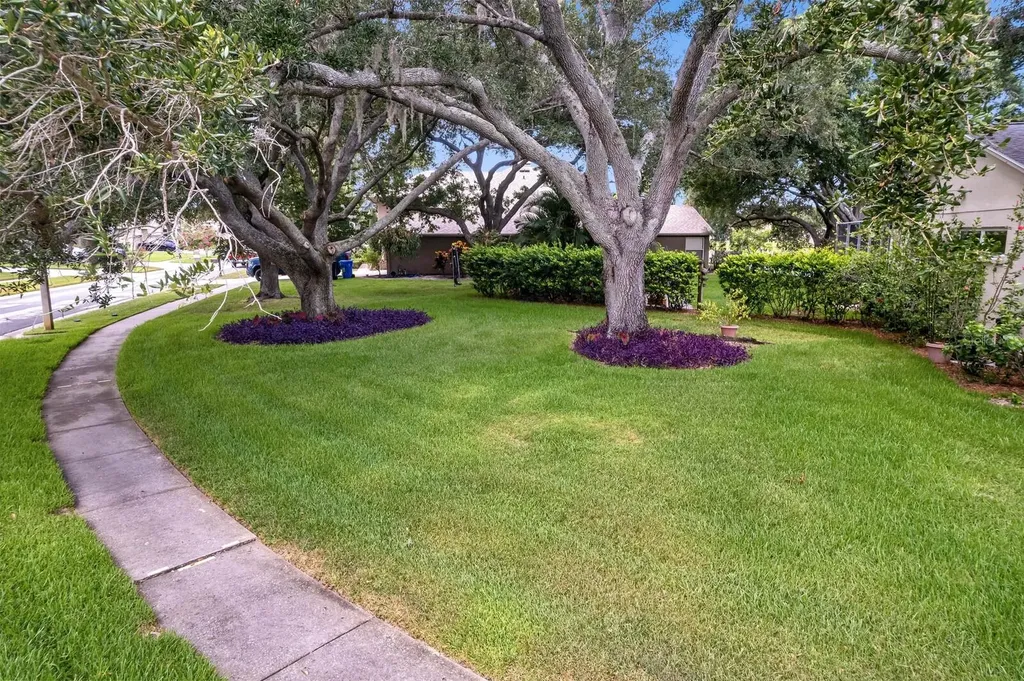 8412 Ridgebrook Circle Odessa FL 33556
