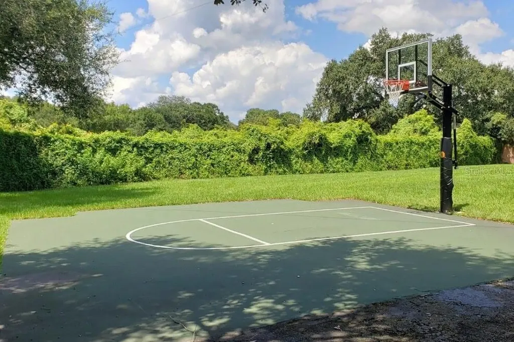 8412 Ridgebrook Circle Odessa FL 33556