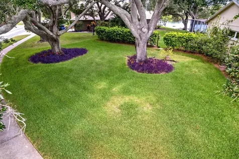 8412 Ridgebrook Circle Odessa FL 33556