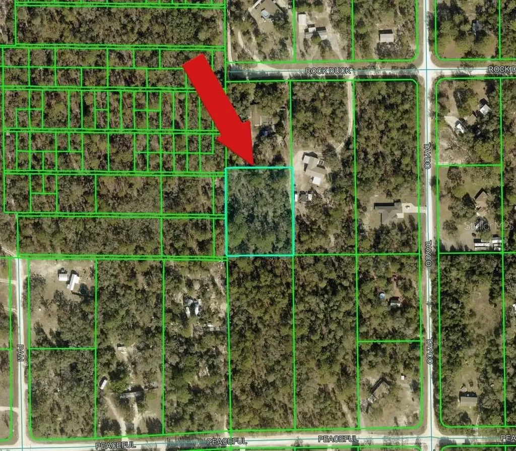 Peaceful Avenue Weeki Wachee FL 34614