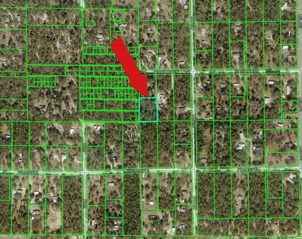 Peaceful Avenue Weeki Wachee FL 34614