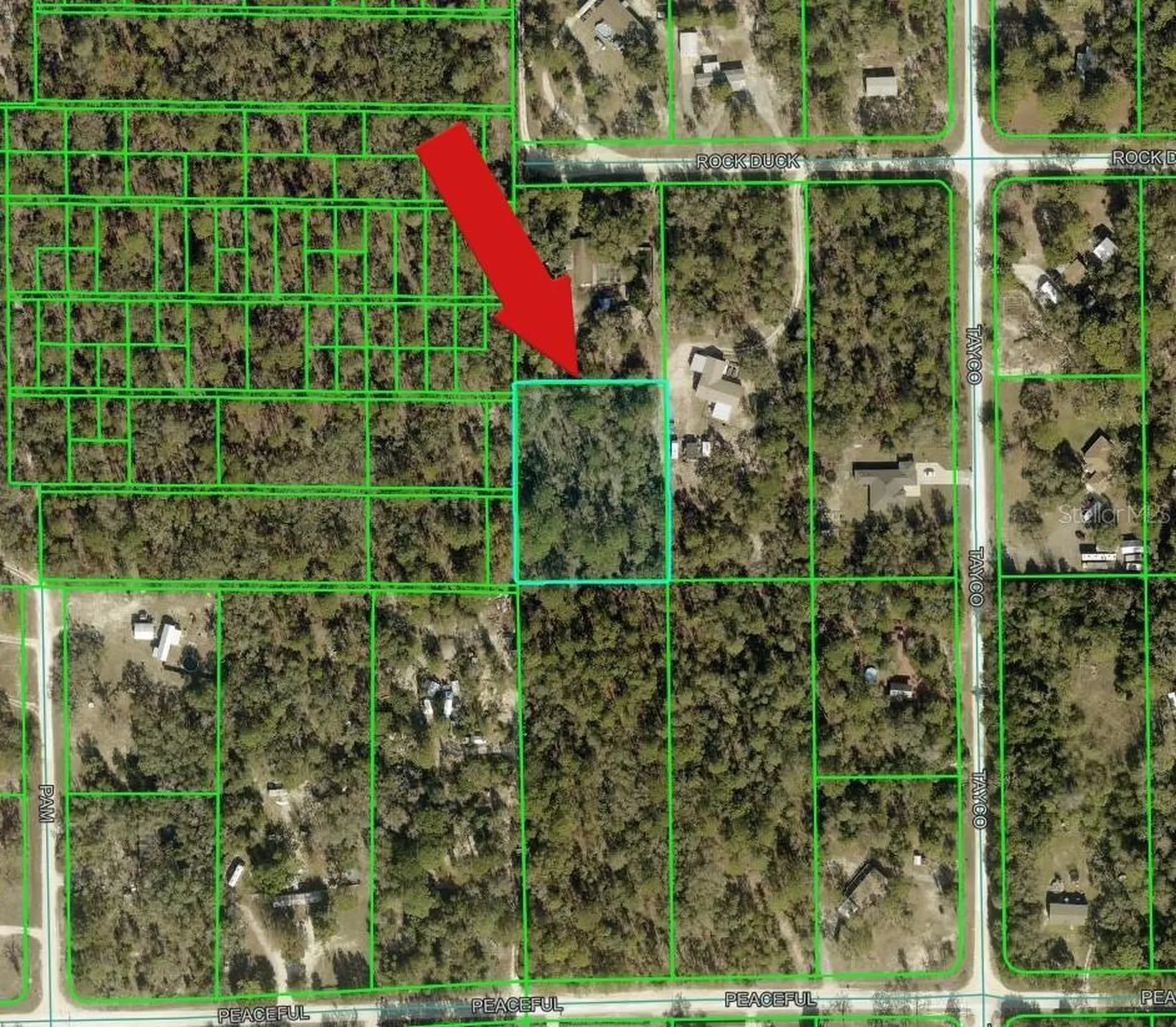 Peaceful Avenue Weeki Wachee FL 34614
