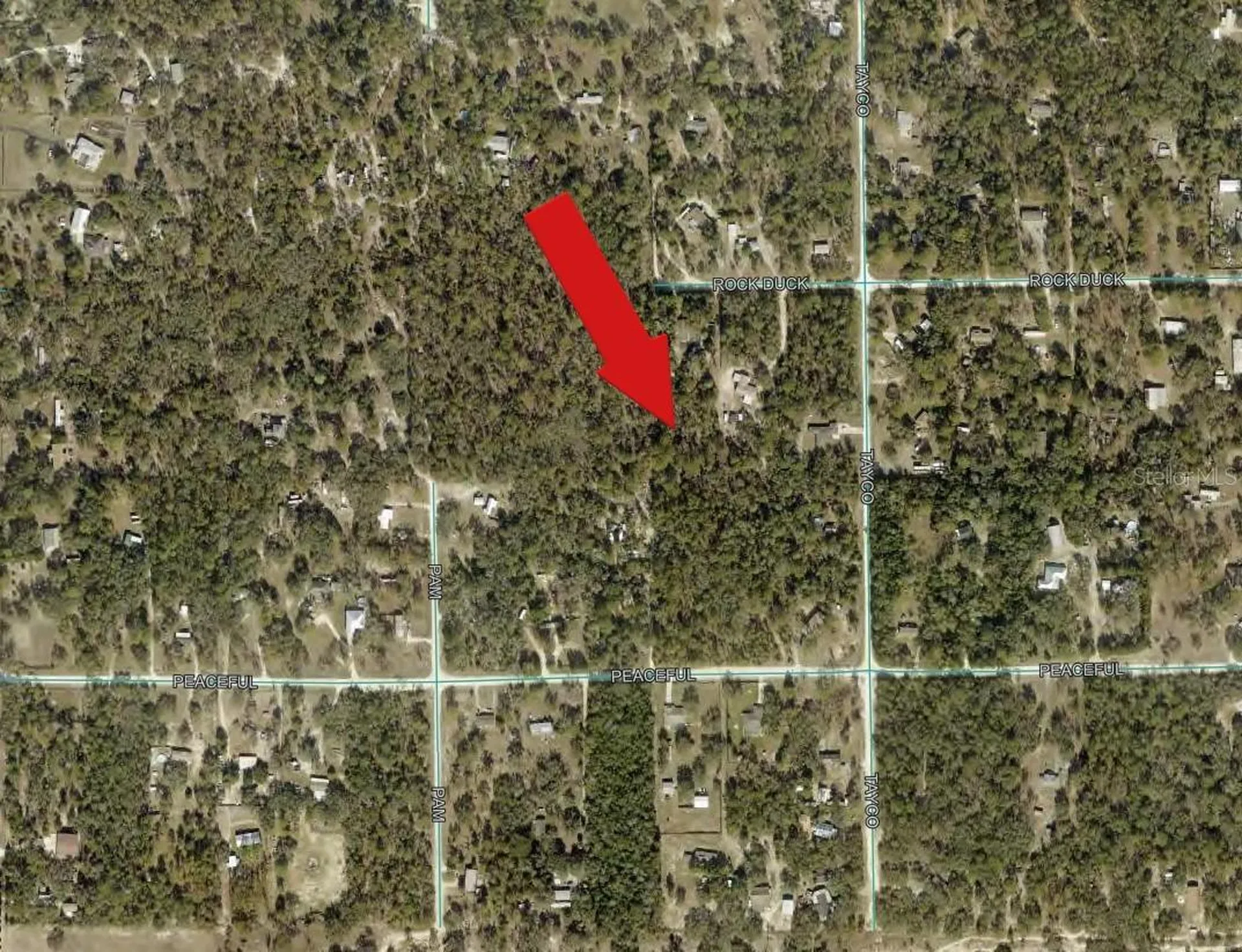 Peaceful Avenue Weeki Wachee FL 34614
